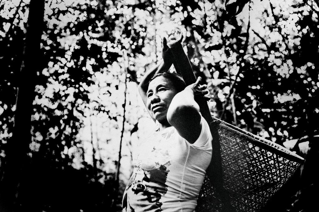 Apoie as comunidades indígenas do Rio Negro durante a pandemia de&nbsp;Covid-19