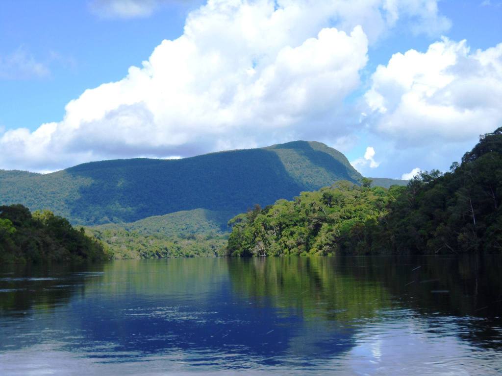 CARTA DE REPÚDIO À VISITA DO PRESIDENTE JAIR BOLSONARO À TERRA INDÍGENA YANOMAMI NO ALTO RIO NEGRO E À SUA PAUTA ANTI-INDÍGENA EM FAVOR DA MINERAÇÃO EM TERRAS&nbsp;INDÍGENAS