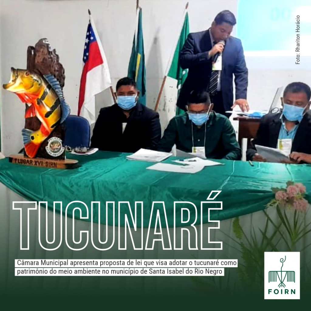 MÉDIO RIO NEGRO | Em Audiência Pública, Câmara Municipal apresenta proposta de lei que visa adotar o tucunaré como patrimônio do meio ambiente no município de Santa Isabel do Rio&nbsp;Negro.